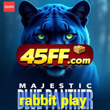 rabbit play